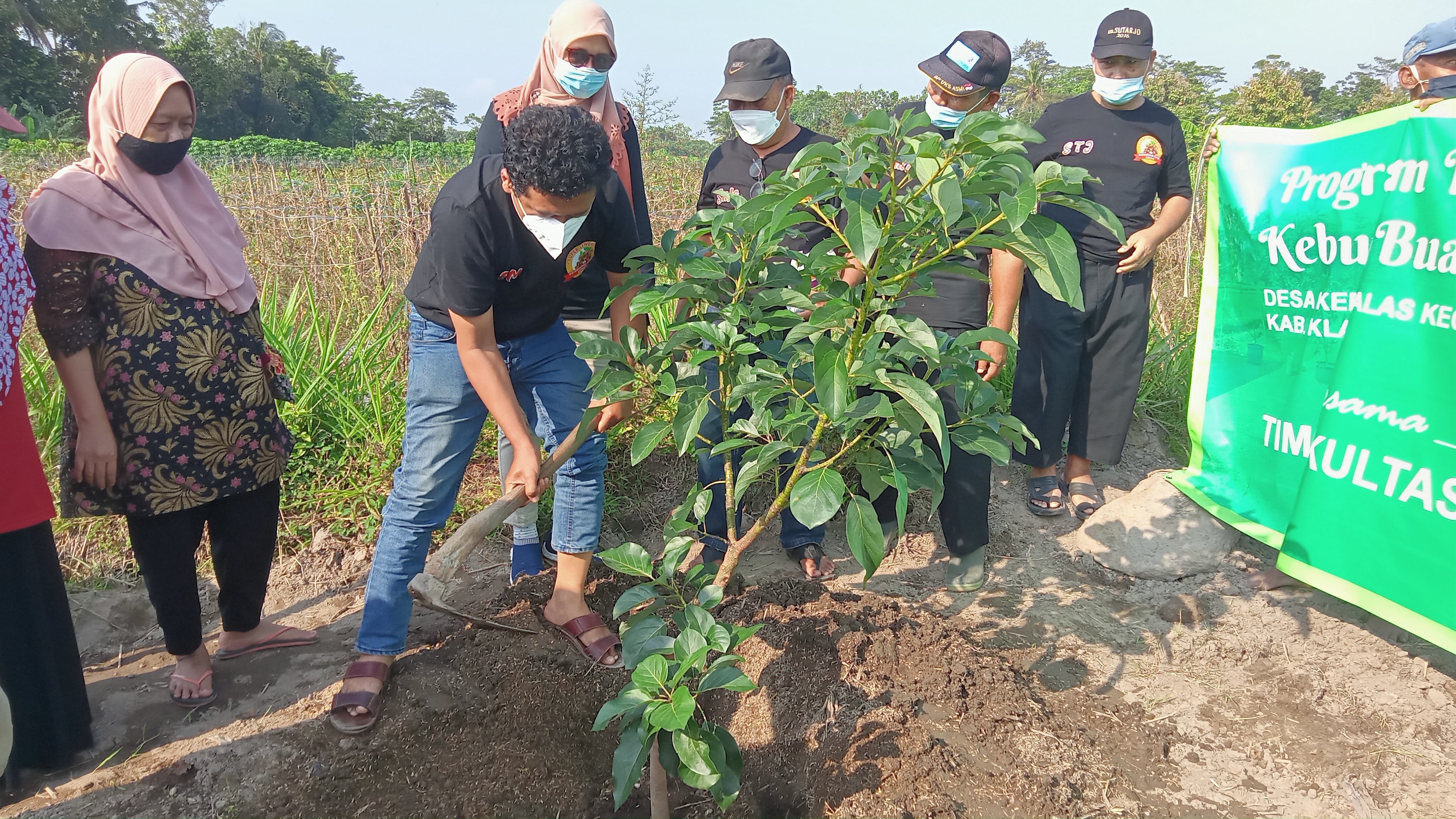 PENANAMAN KEBUN BUAH KERJASAMA DENGAN UGM