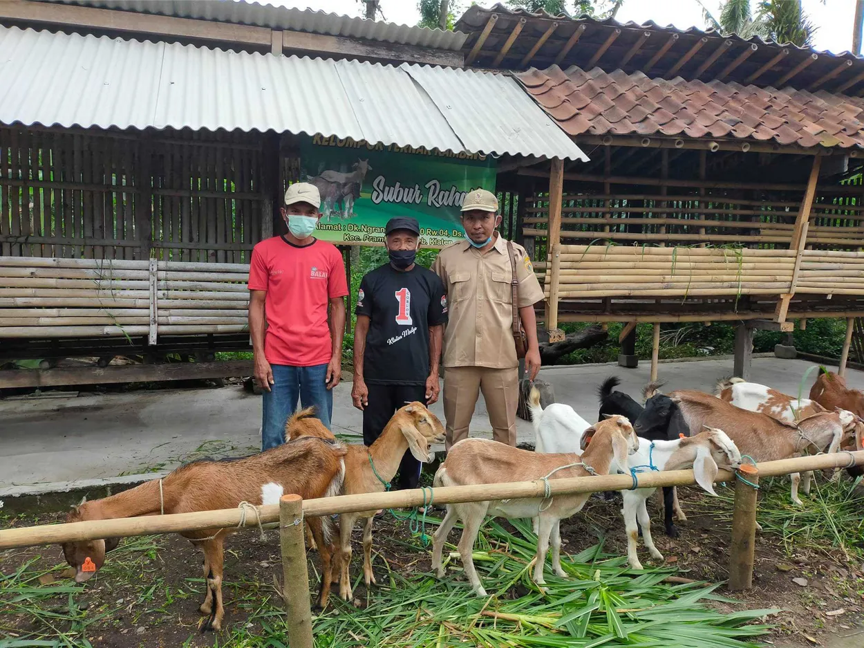 Kelompok Ternak Subur Raharjo mendapat Bantuan Kambing