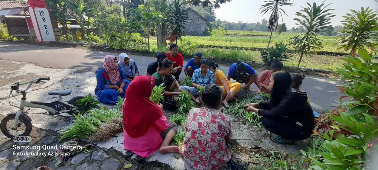 Mengintip Kegiatan Panen di KWT Guyub Rukun Desa Joho