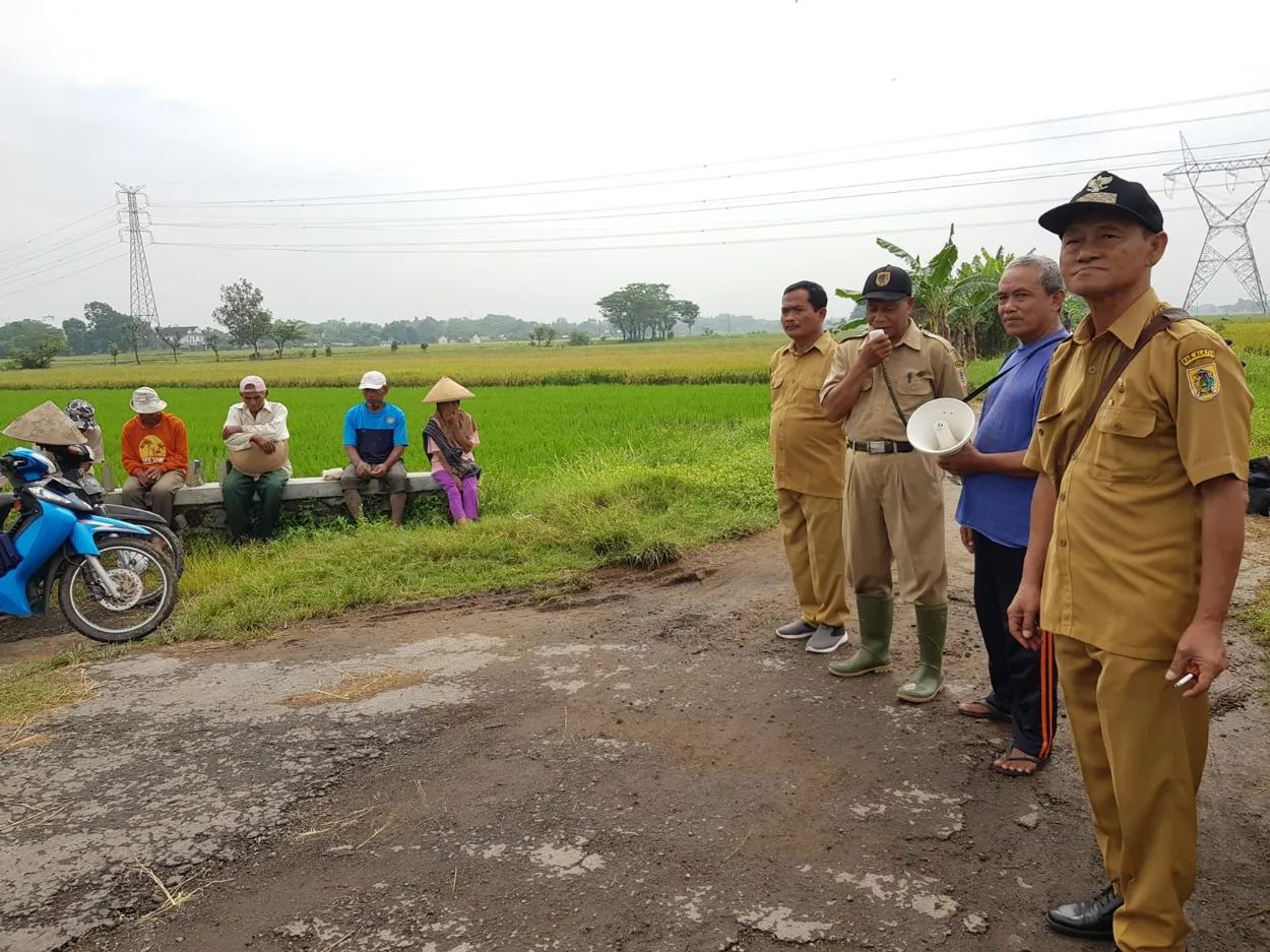 SOSIALISASI PETANI PADI DESA BUTUHAN