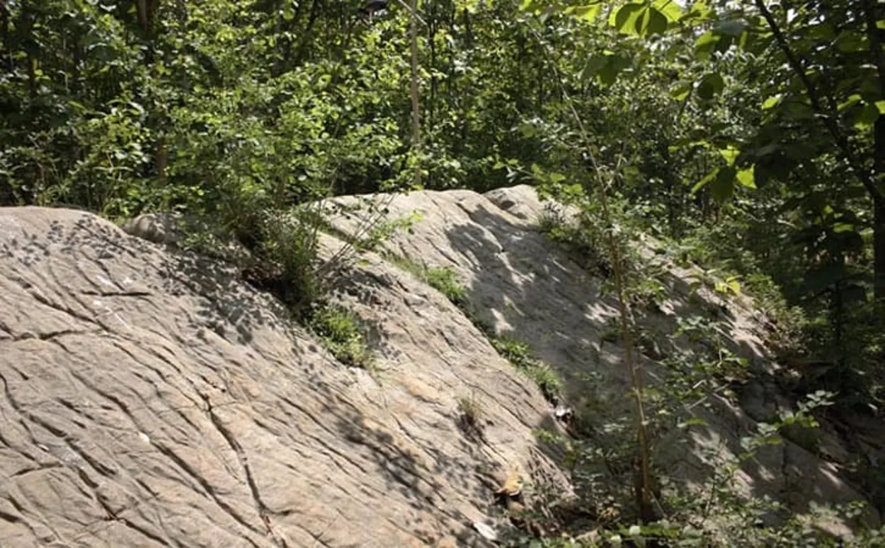 Potensi Gununggajah sebagai Bagian dari Kawasan Geopark Bayat, Klaten
