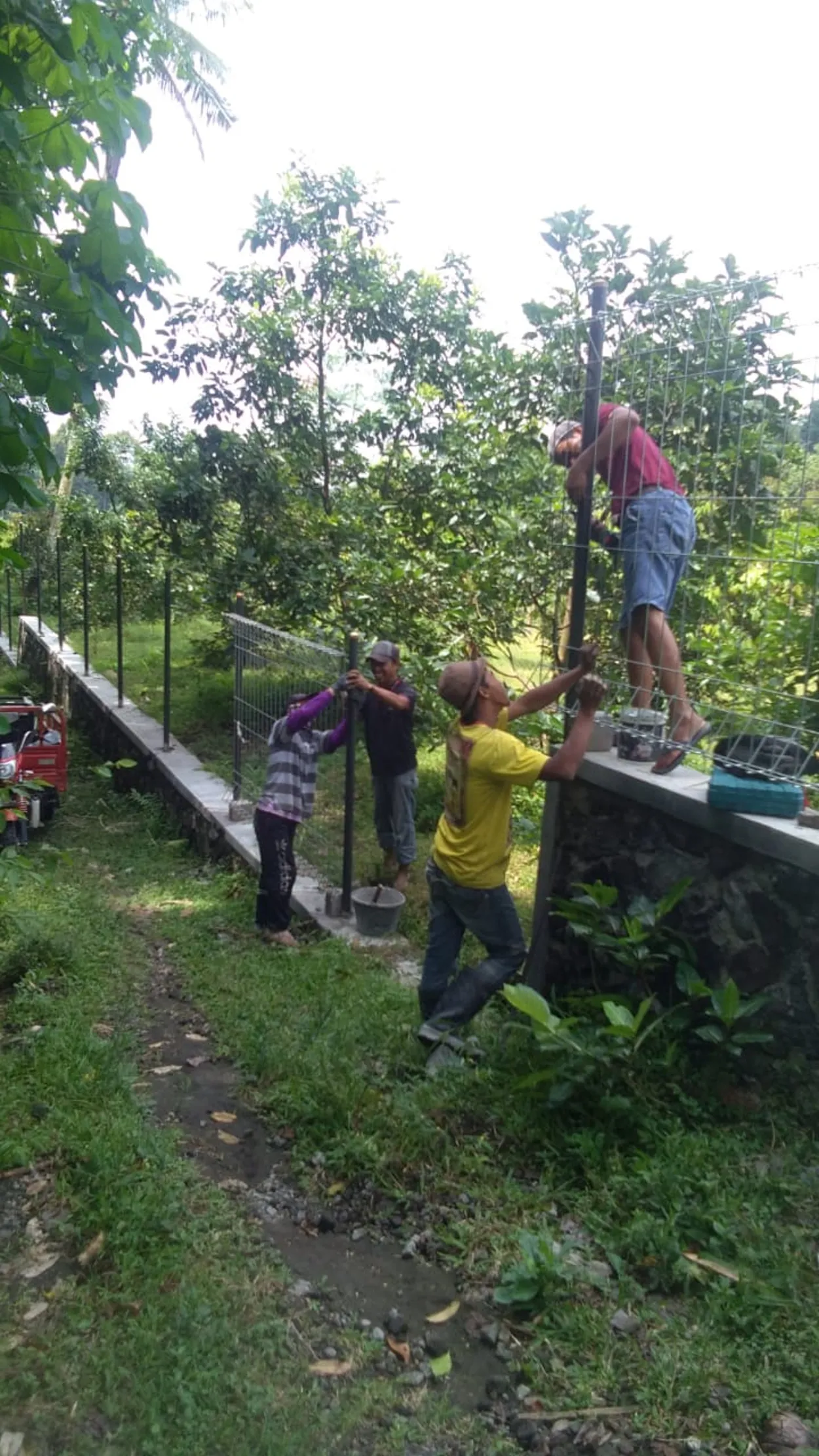 PAGAR KEBUN BUAH ARGO SARI