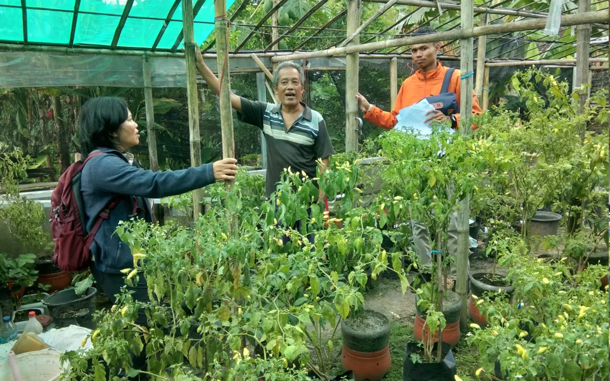 Ikut Andil dalam Mengatasi Perubahan Iklim, Desa Plawikan Ikut Program Kampung Iklim