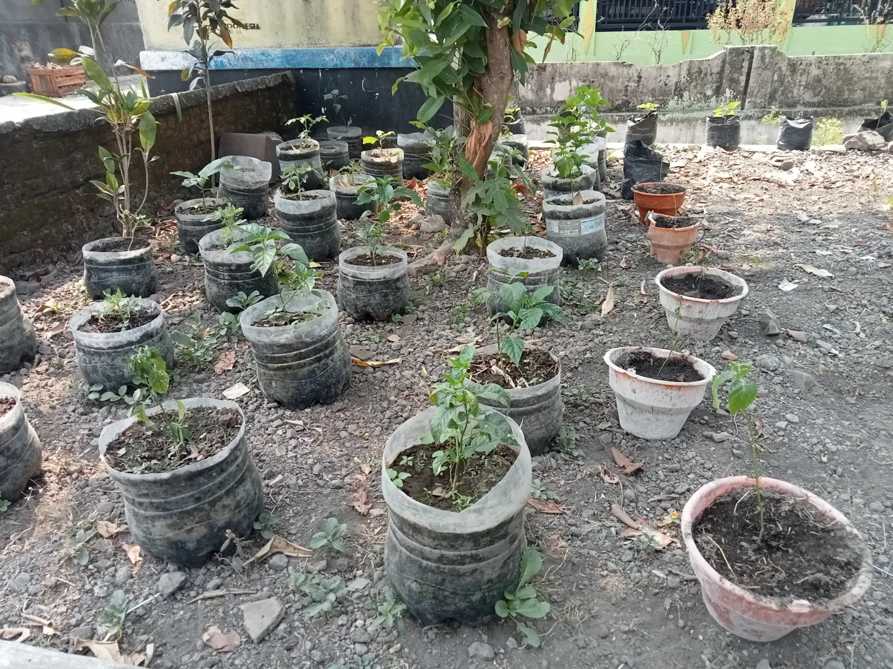 Sosialisasi Gerakan Menanam di Pekarangan Rumah