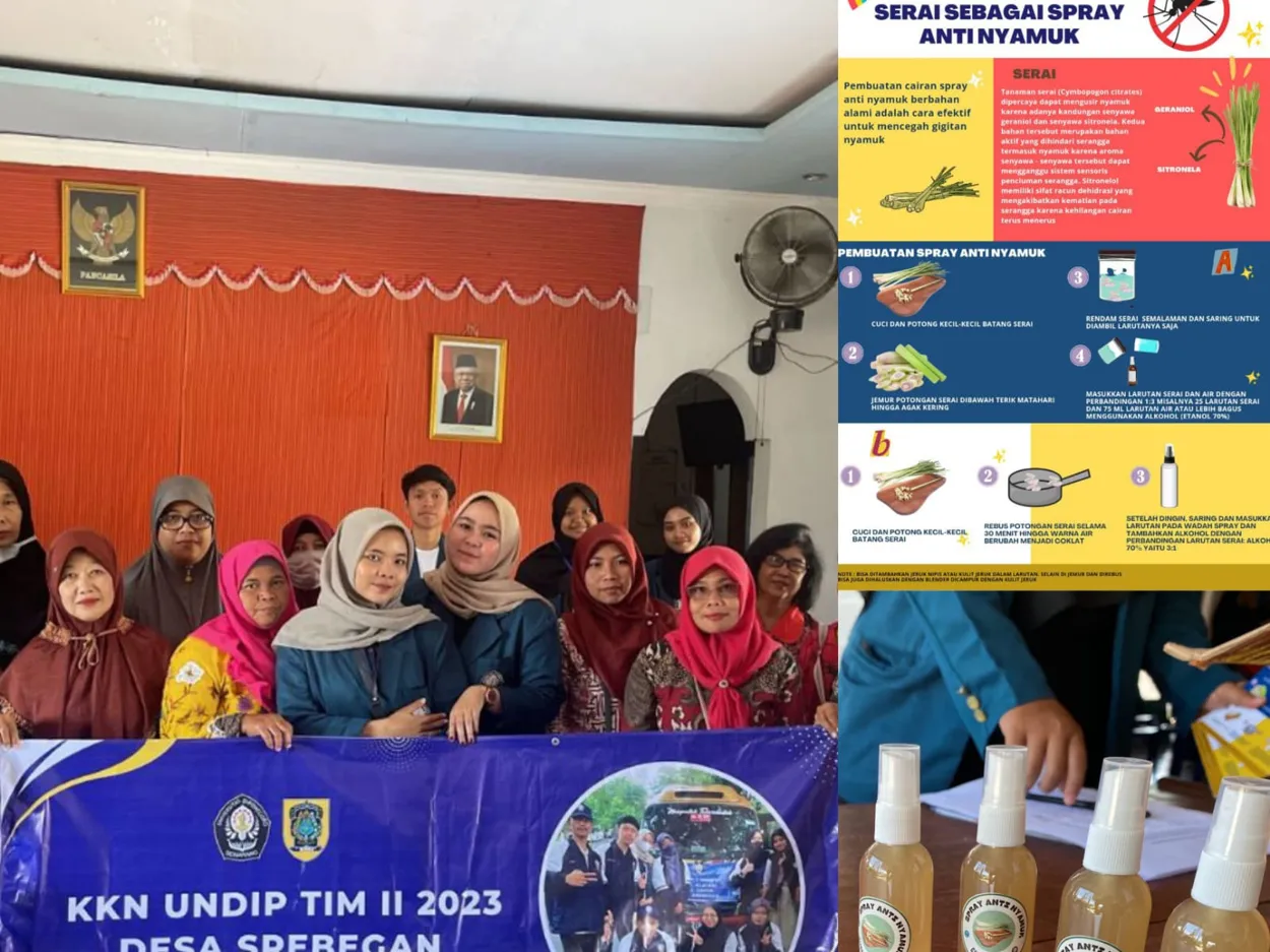 Usir Nyamuk dengan Bahan Alami, Mahasiswa KKN UNDIP Ciptakan Spray Anti Nyamuk Berbahan Serai