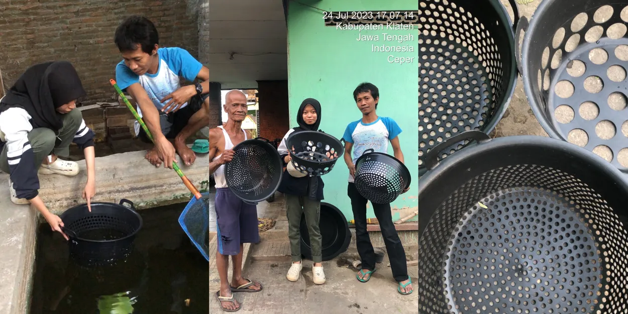 Pemanfaatan Ember Sortir untuk Pengelompokkan Ikan Lele kepada Pembudidaya Ikan