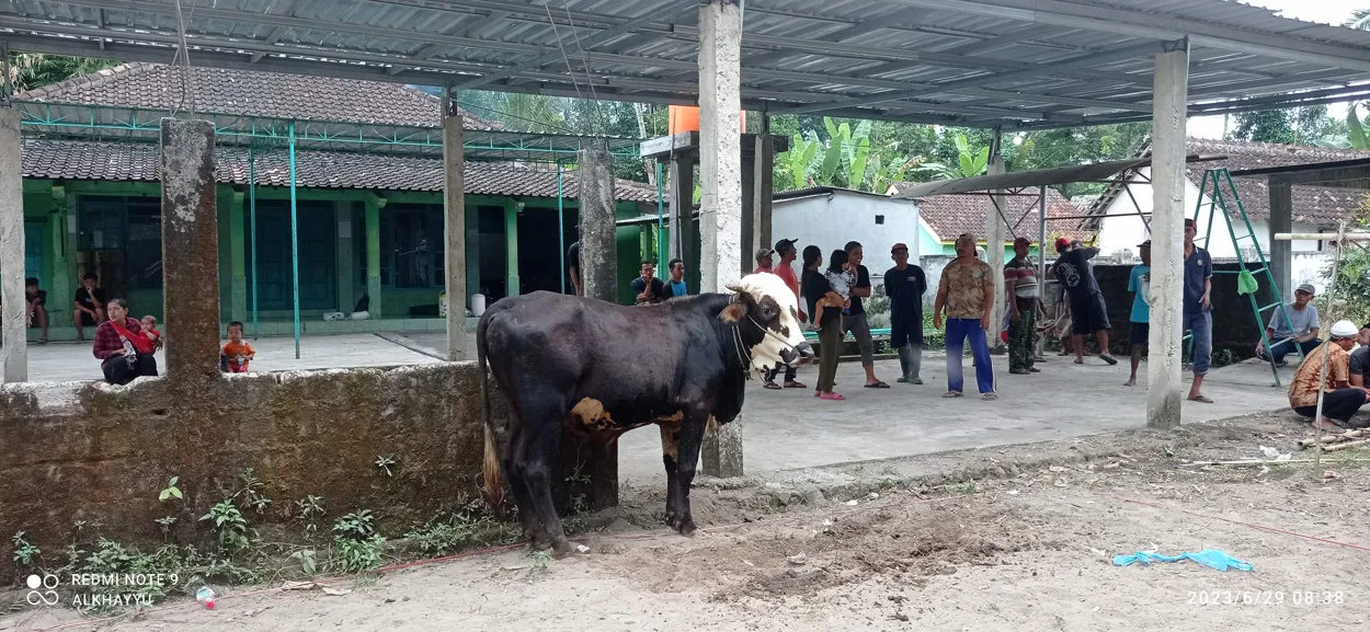 Merayakan Hari Raya Qurban dalam Suasana Keagamaan Pasca COVID-19 di Desa Joho